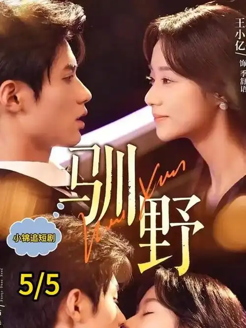 晚风知我意 热播电视剧免费